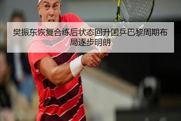 樊振东恢复合练后状态回升国乒巴黎周期布局逐步明朗
